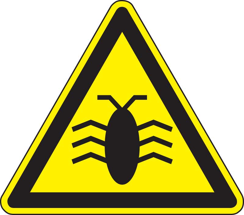 Warning: Software bugs ahead!